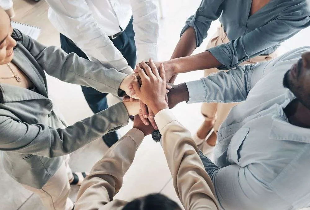 Management Team